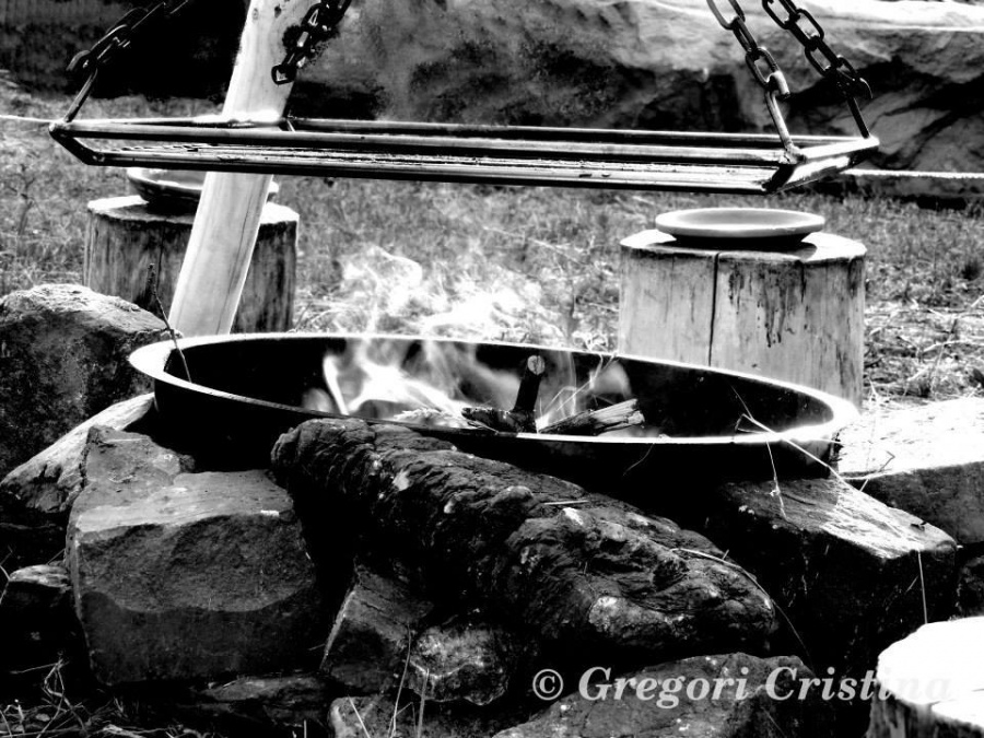 triskell_2013_004.jpg